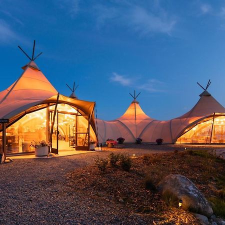Under Canvas Acadia Surry المظهر الخارجي الصورة