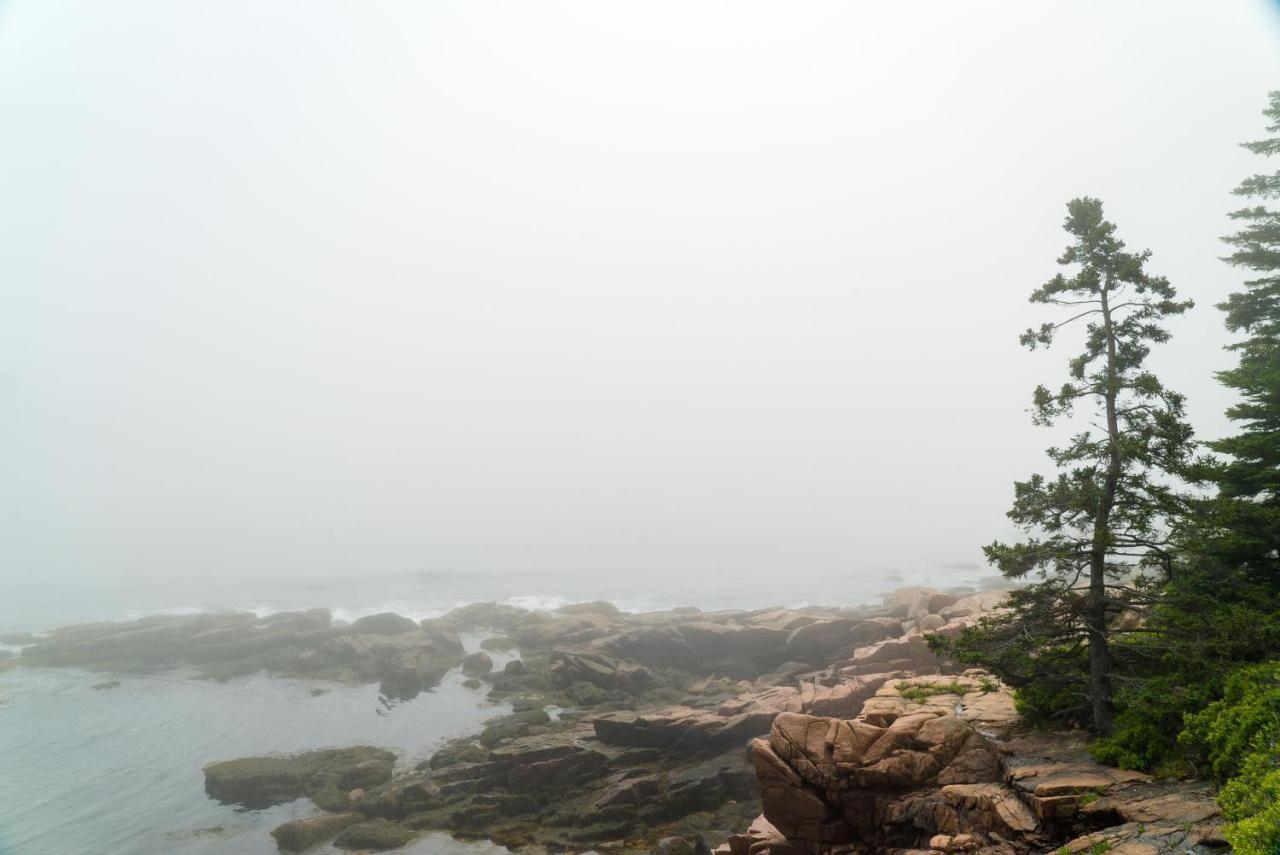 Surry Under Canvas Acadia المظهر الخارجي الصورة