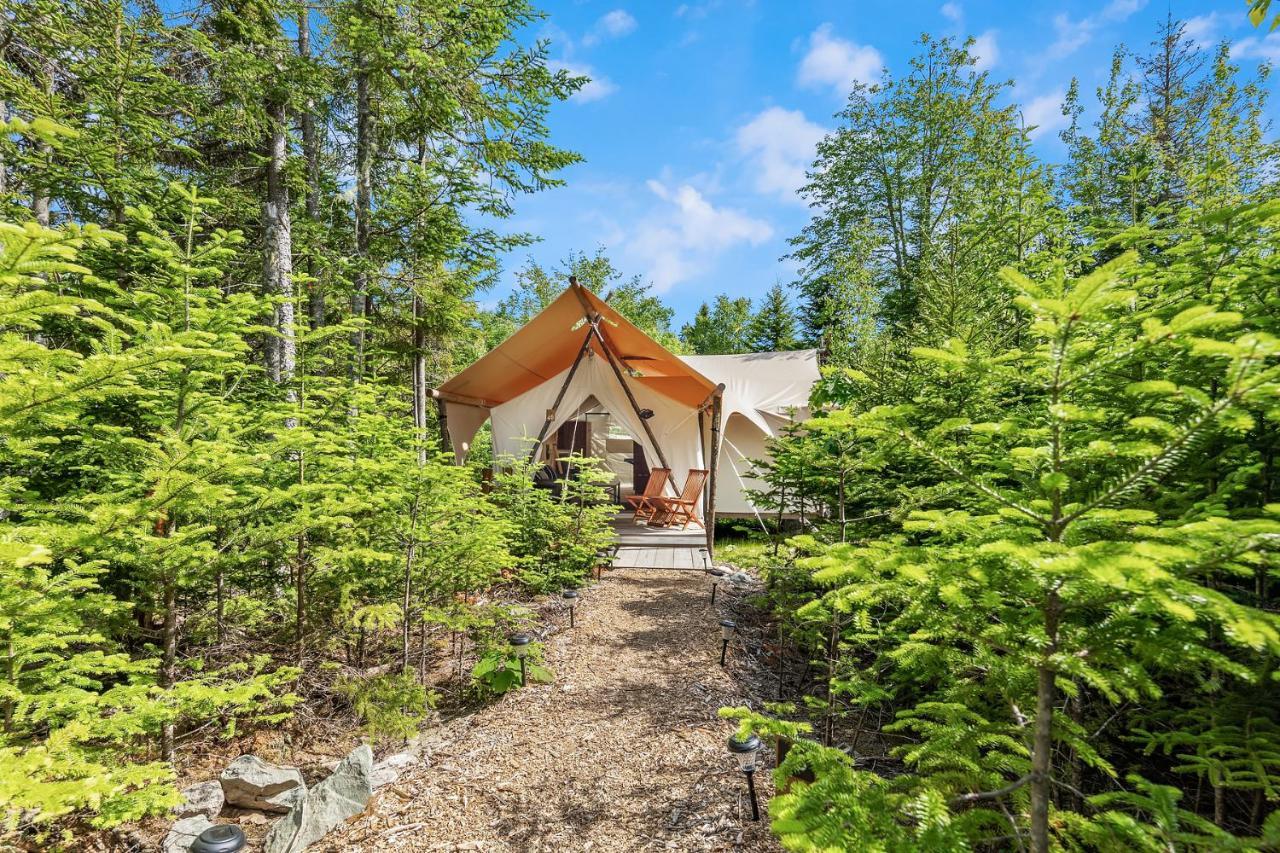 Under Canvas Acadia Surry المظهر الخارجي الصورة